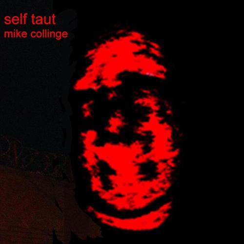 Self Taut cover