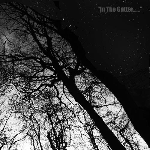 In The Gutter...Searching For Stars cover