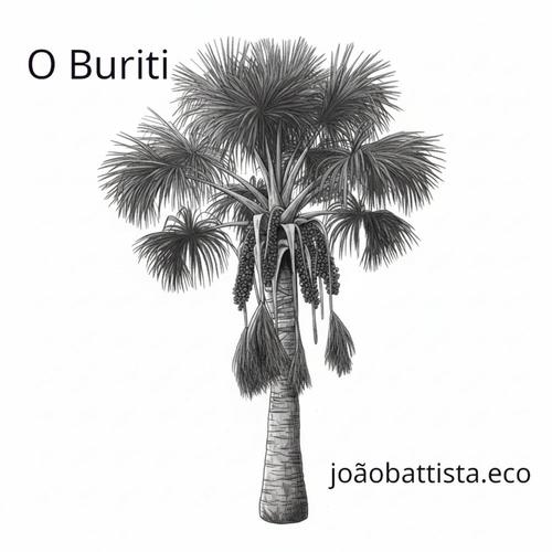 O Buriti cover