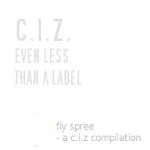 V.A.: fly spree cover