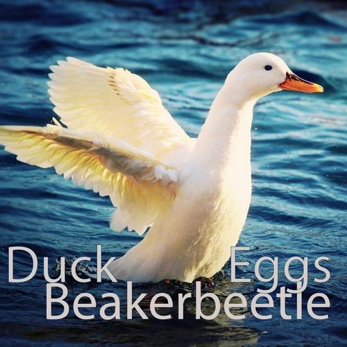 DuckEggs cover
