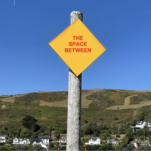The Space Between cover