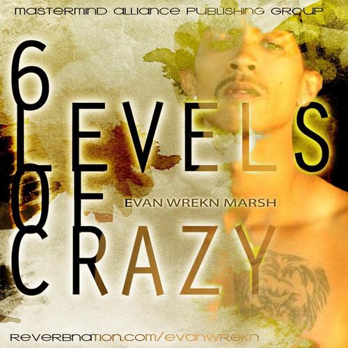 6 LEVELS OF CRAZY cover