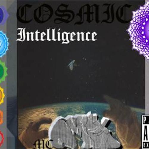 Cosmic Intelligence cover