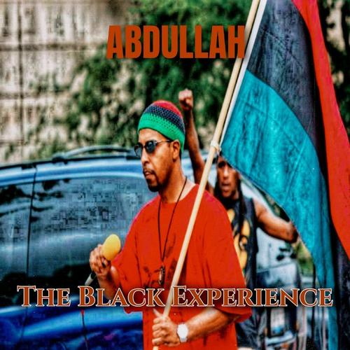 The Black Experience cover