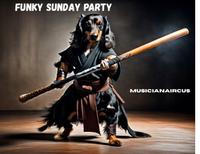 Funky Sunday Party photo