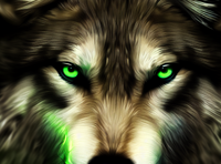Pretty the Wolf photo