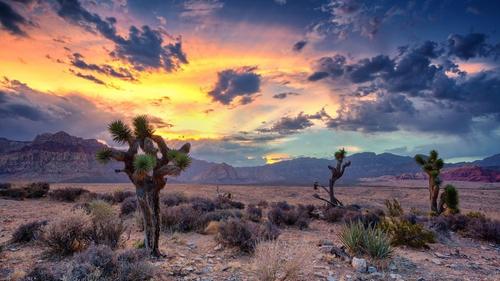 Profile photo RedRock2.jpg