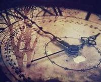 MICHELE DEROSE MACSHANE photo