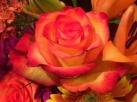 Mary Simoni photo