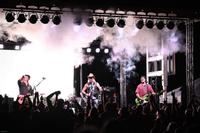 Shot of Poison photo