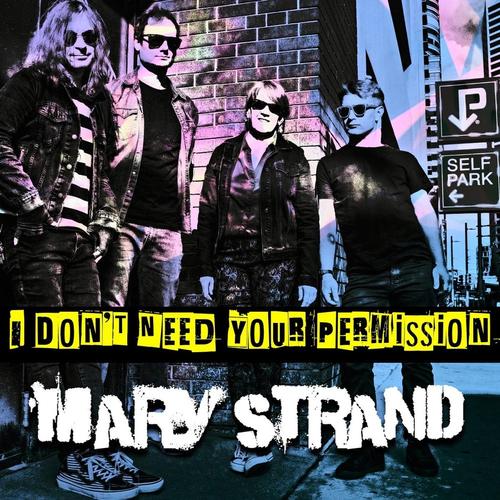 I Don't Need Your Permission cover