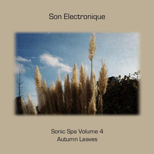 Sonic Spa Volume 4 - Autumn Leaves cover