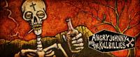 Angry Johnny And The Killbillies photo
