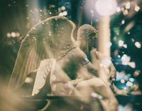 Hope Haggerty photo