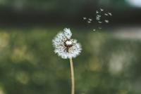 Hope Haggerty photo
