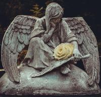 Hope Haggerty photo