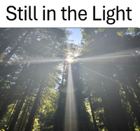 Still in the Light photo