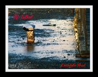 PJ Talbot photo