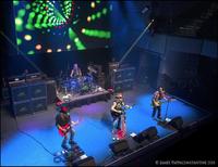 Shot of Poison photo