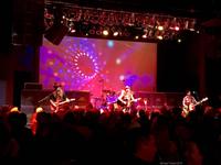 Shot of Poison photo