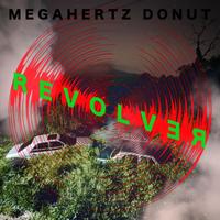 Megahertz Donut photo
