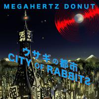 Megahertz Donut photo