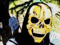 Denacus photo