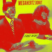 Megahertz Donut photo