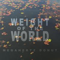 Megahertz Donut photo