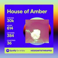 House of Amber photo
