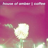 House of Amber photo