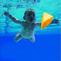 Jay Ansill's Cheese Project photo