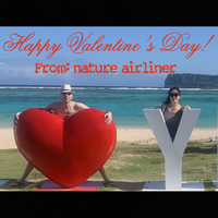nature airliner photo