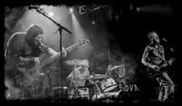 Anova photo