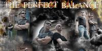 The Perfect Balance photo