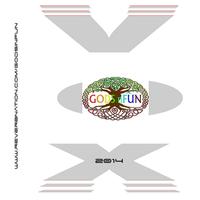 GODS IN FUN photo