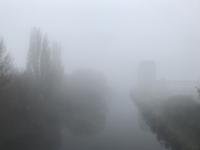 Mark Parker photo