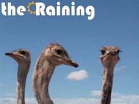 the Raining photo