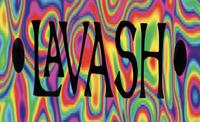 Justin Lavash photo