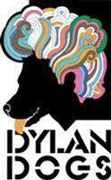 Dylan Dogs photo