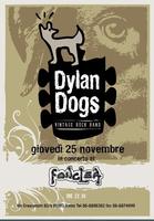 Dylan Dogs photo