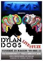 Dylan Dogs photo