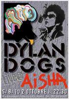 Dylan Dogs photo