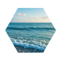 SIX SIDED SOUNDS photo
