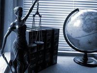 Saggi Law Firm photo