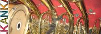 Zlatne Uste Balkan Brass Band photo