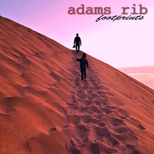 footprints cover