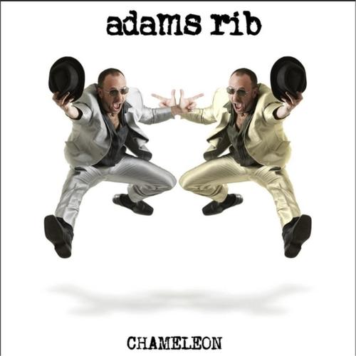chameleon cover