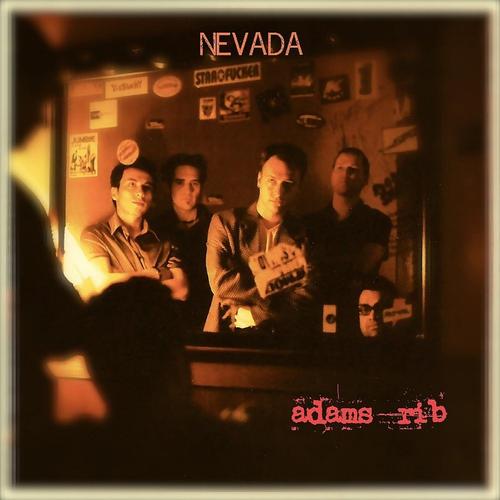 nevada cover